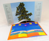 Field Works - Cedars