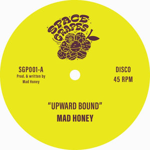 Mad Honey ‎– Upward Bound / Treasure Every Sunset